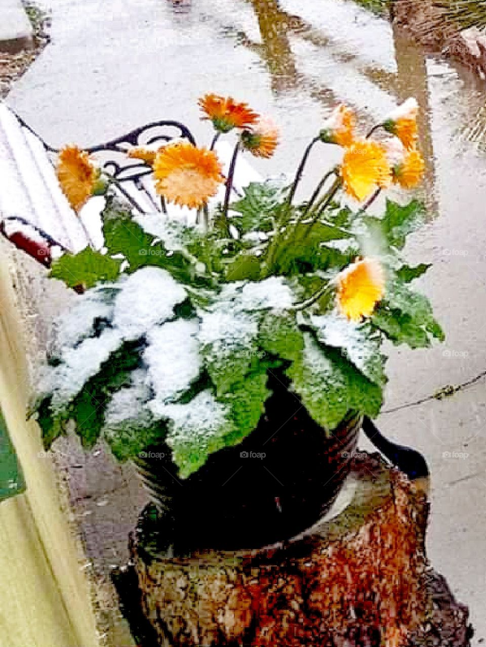 What happened to spring?