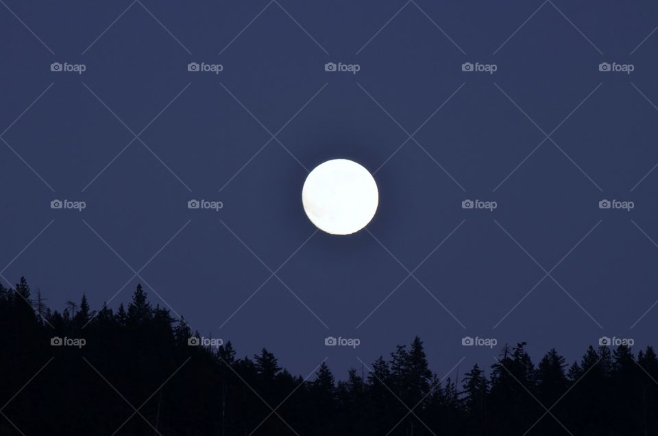 Full Moon in June. June 30th full moon