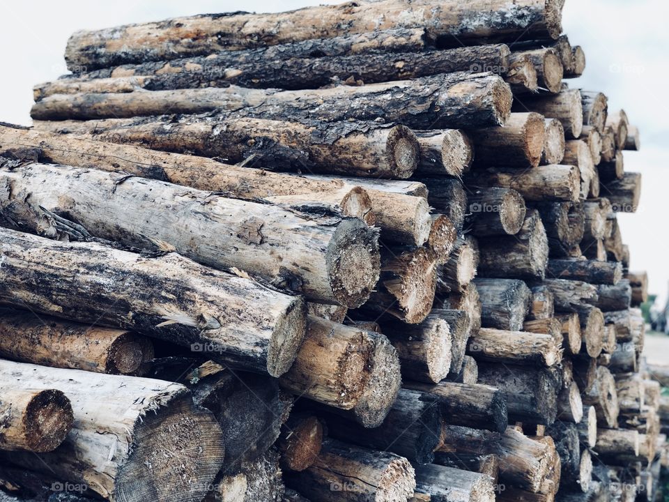 Stacks of dry wood ready for the long cold winter 