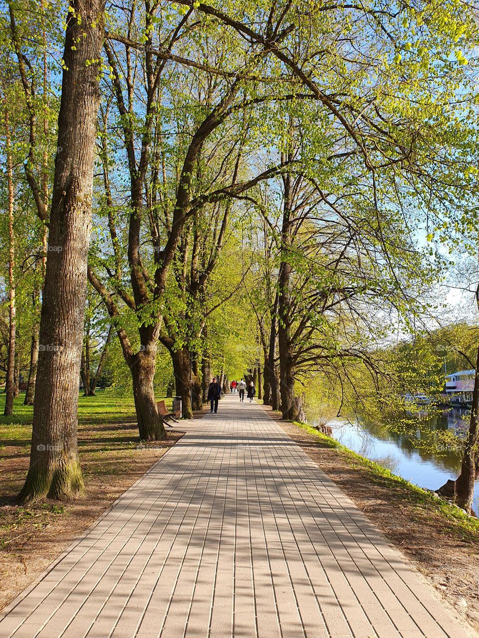 Spring view of a beautiful river in the city center.