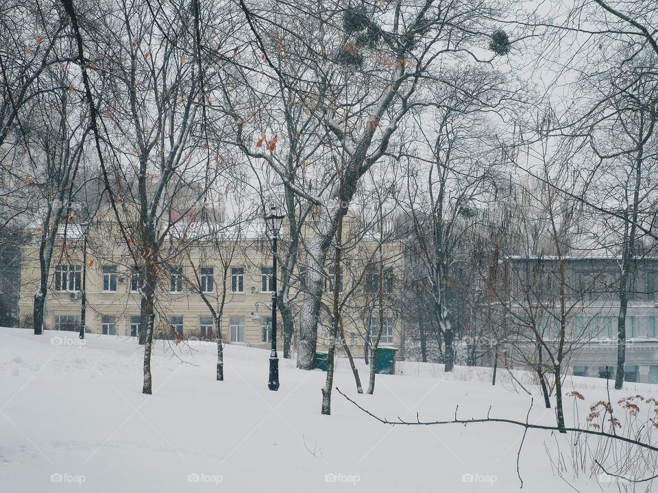 Winter in the city park