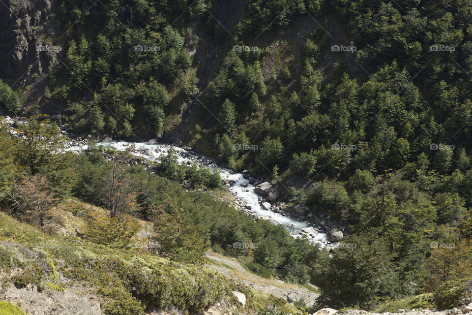 The river and the forest.