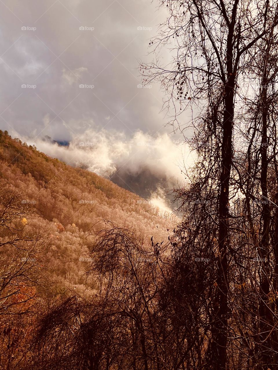 Mountain overlooking the clouds 