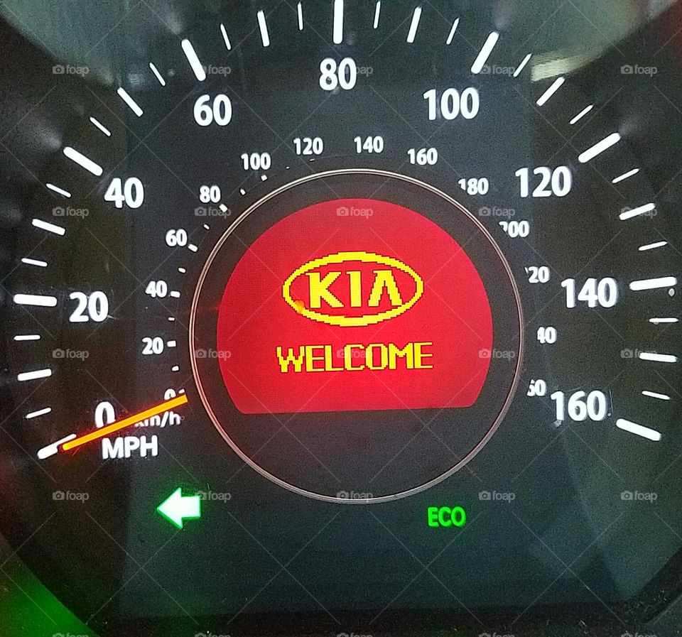 Kia Welcome Light