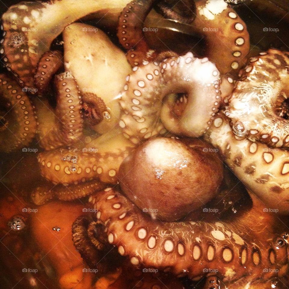 Cooked octopus 