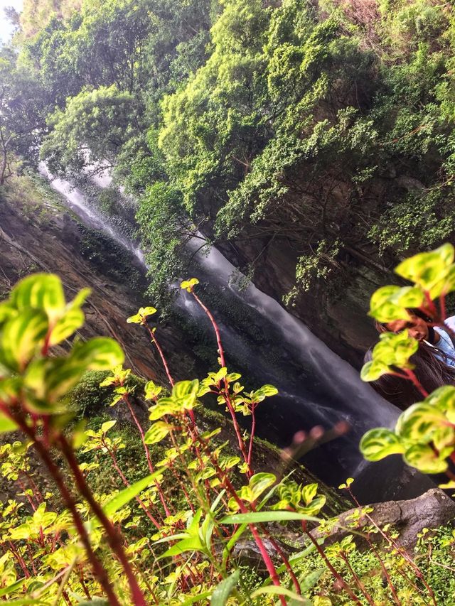 Nature 