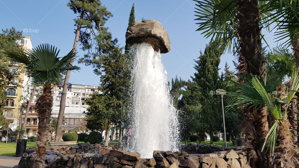 fountain