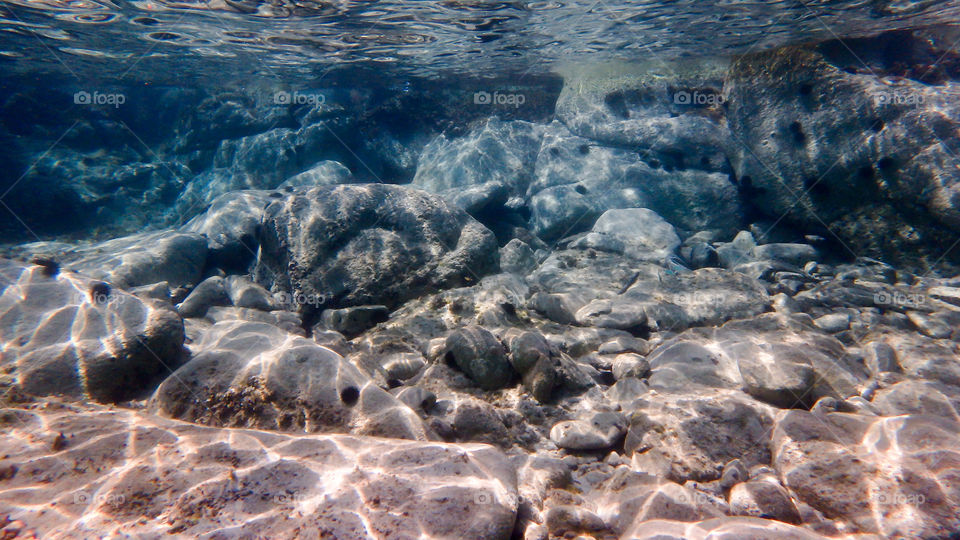 Scenic view of coral at underwater