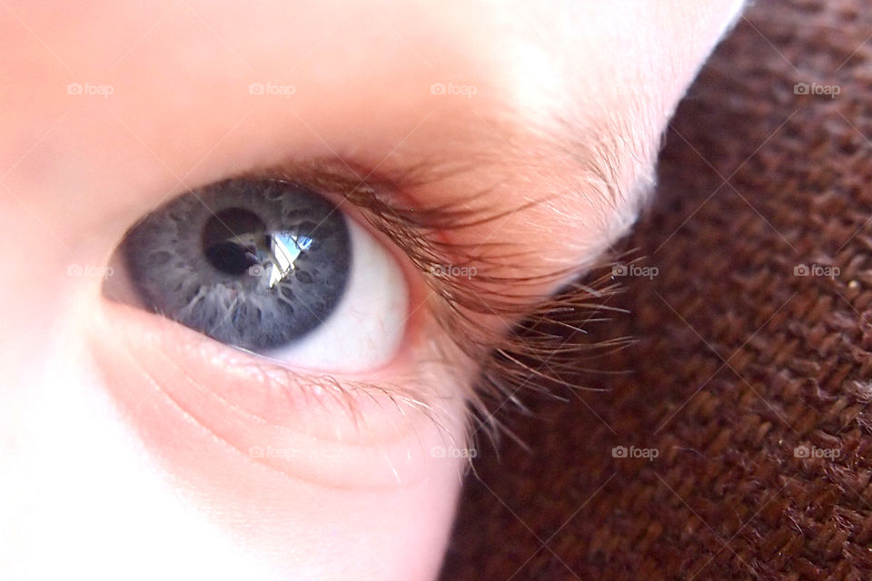 Close-up of baby eye
