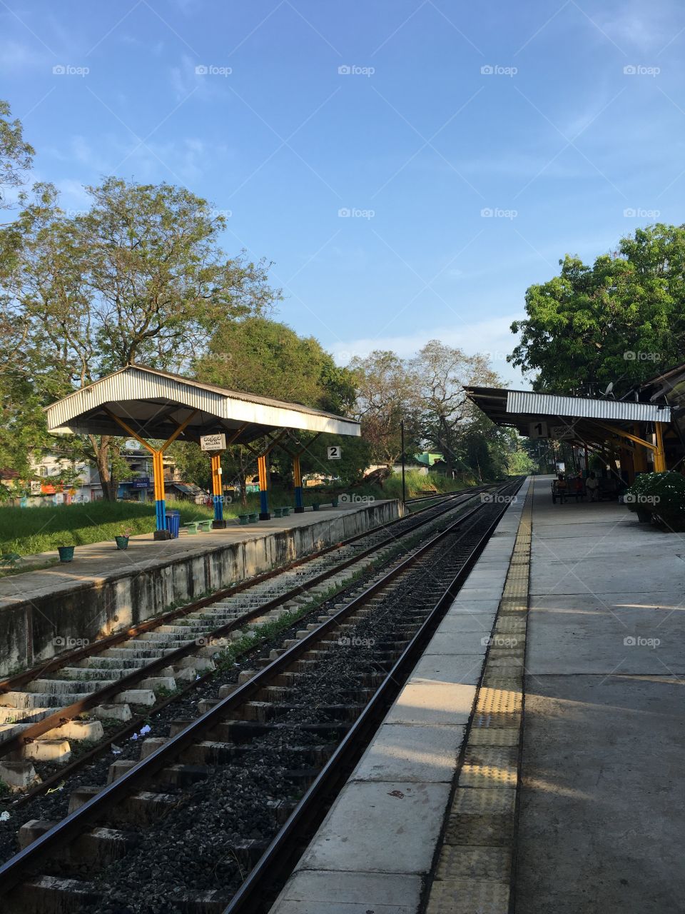 train_road_srilanka