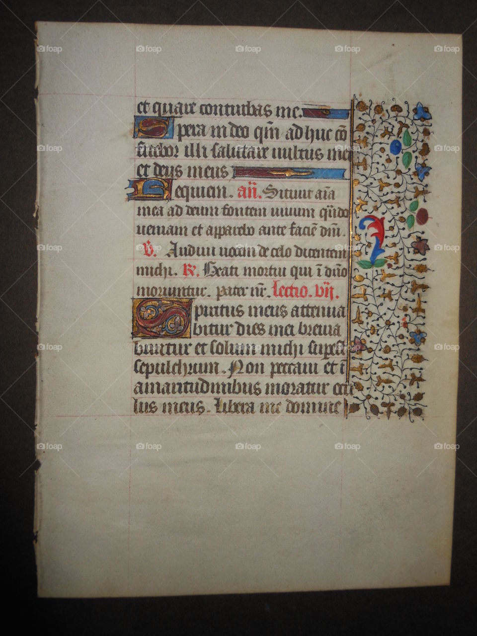 Illuminated page