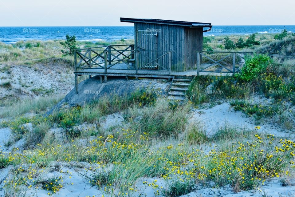 Summer time beautiful time