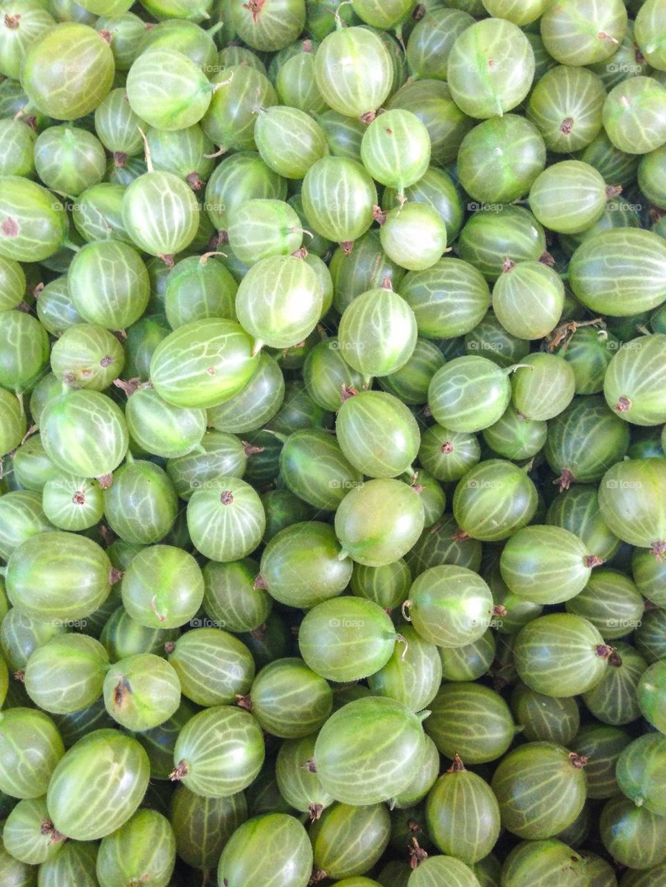 Gooseberries