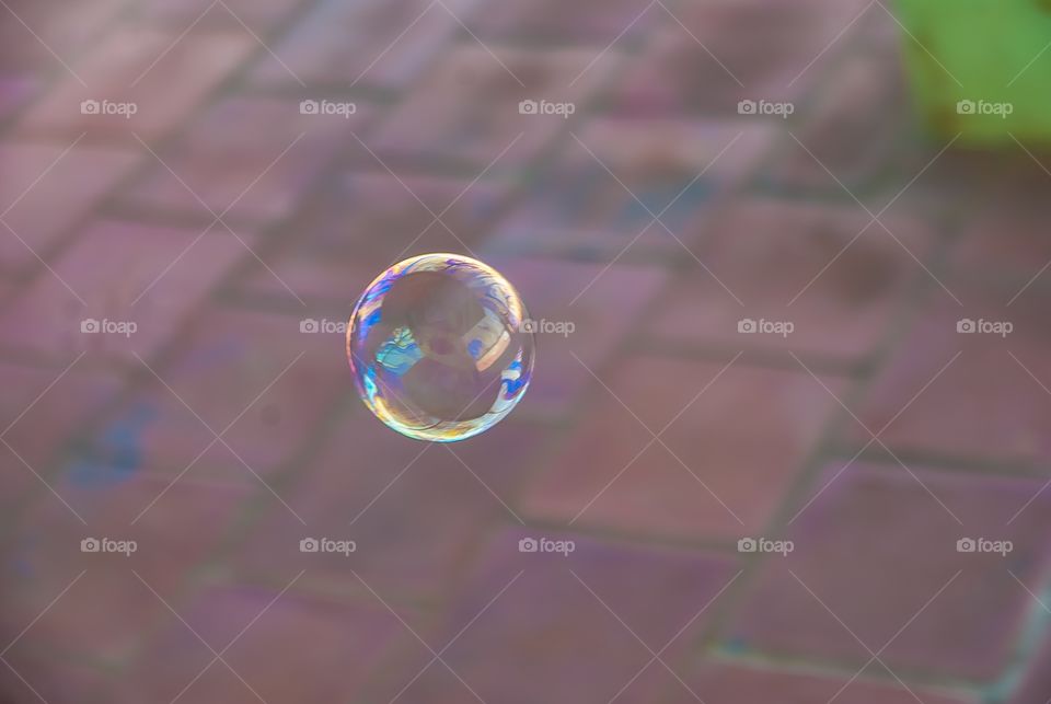 bubbles 