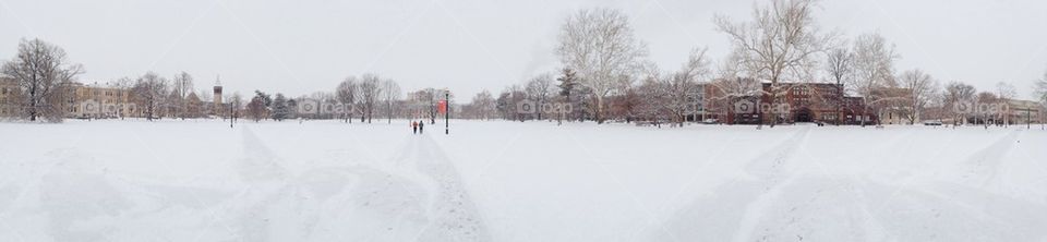 The Oval in winter. 