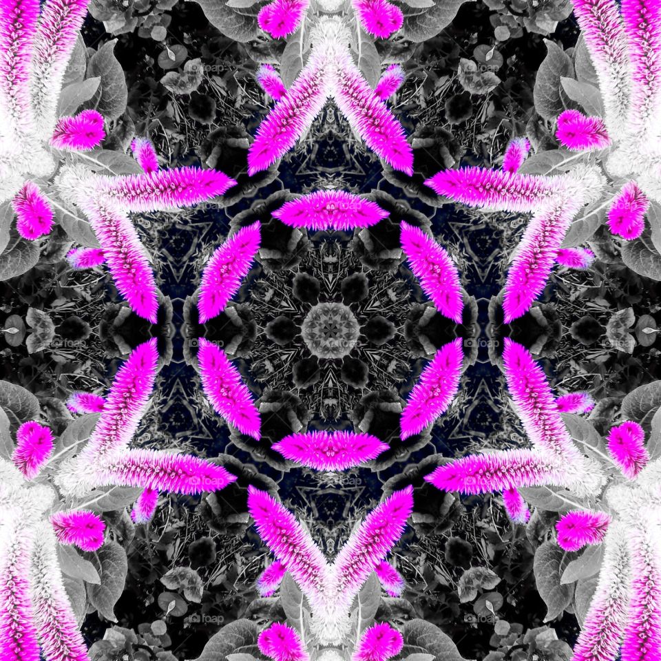 vibrant kaleidoscope