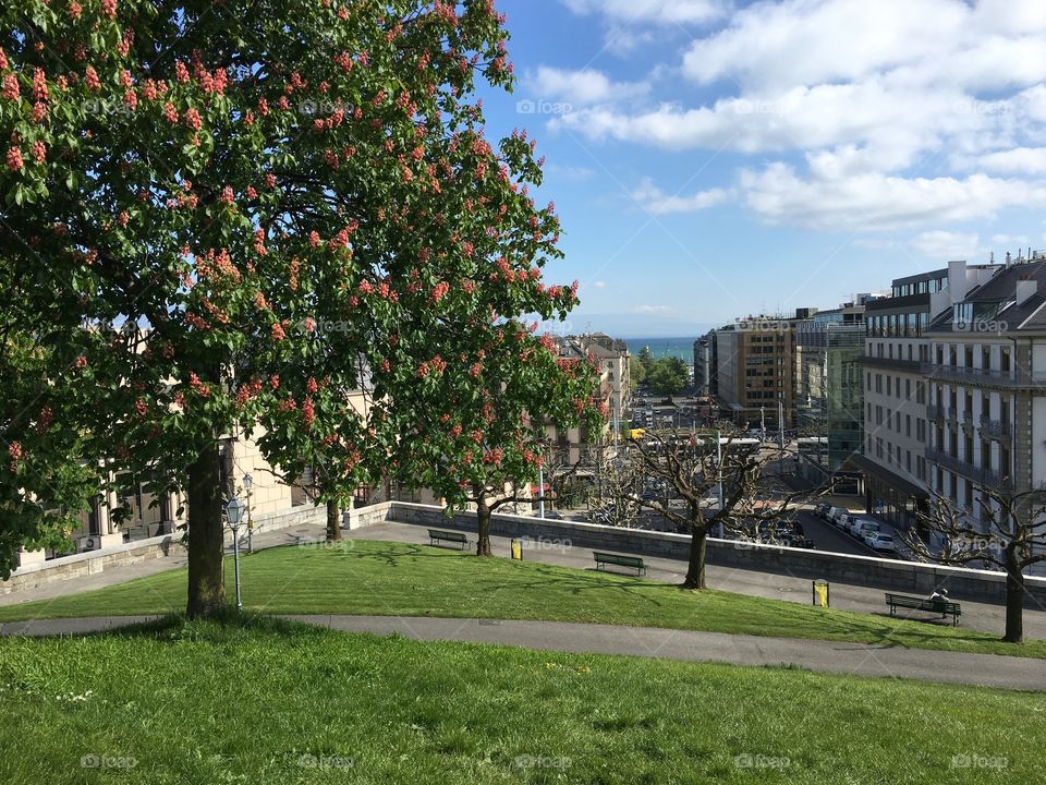 Geneva city view 