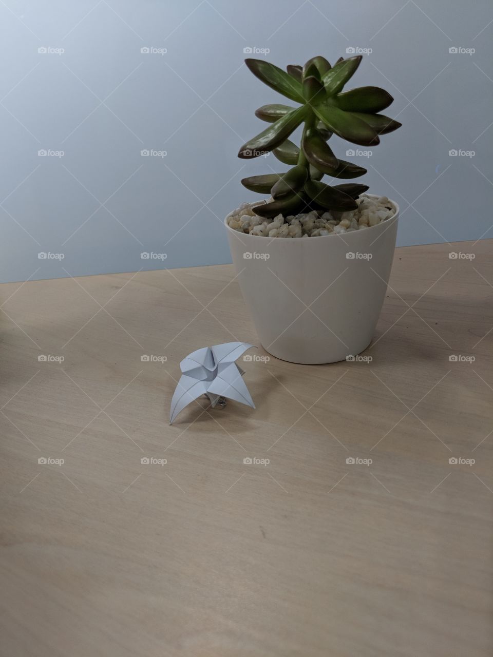 origami plant