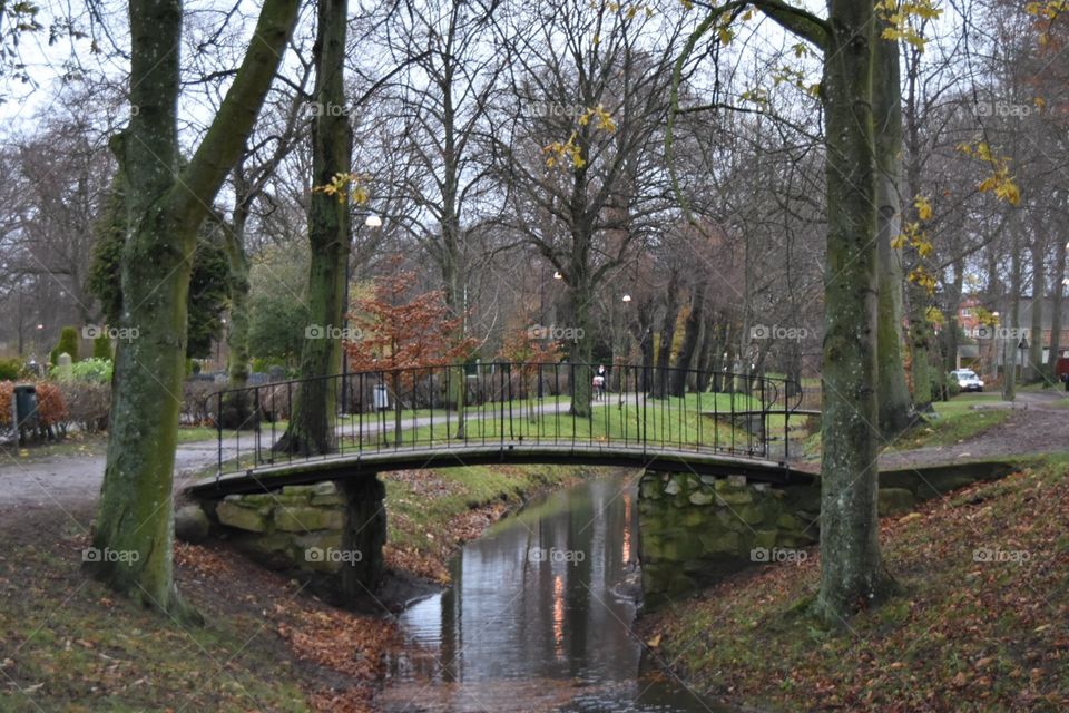 Tree, Fall, Landscape, Park, Wood