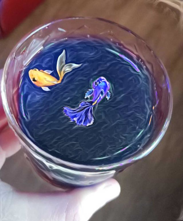 Imagination