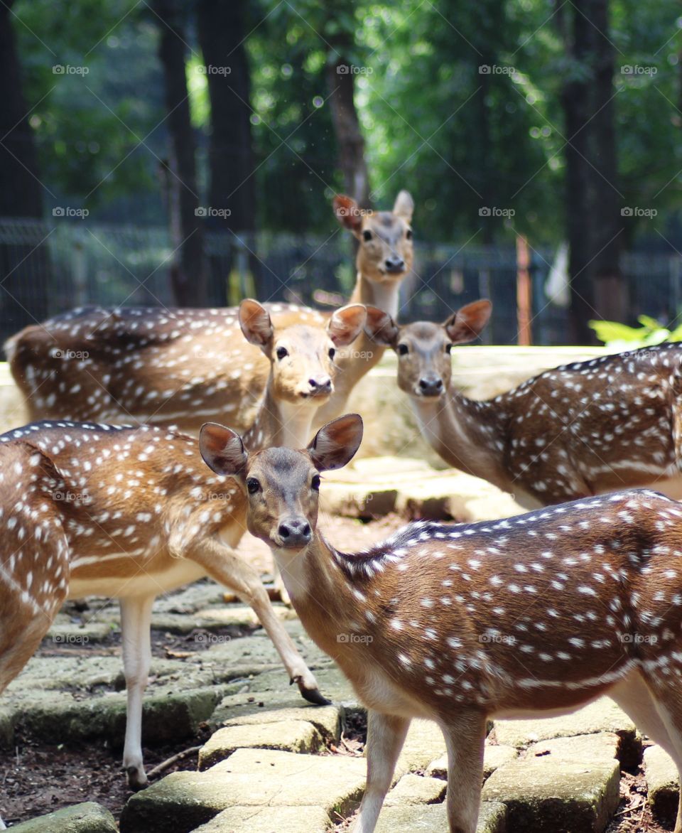 Something interesting