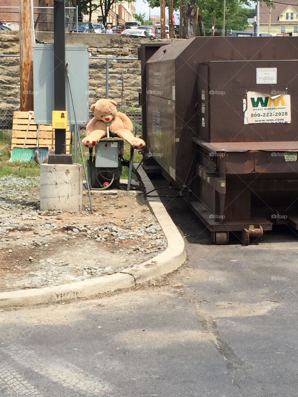 Sad bear. Sad bear by garbage dumpster