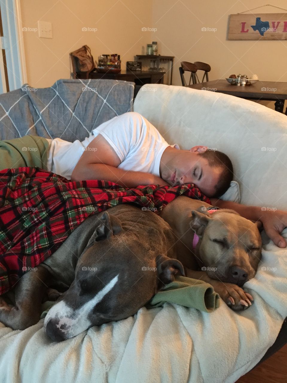 Nap time buddies . After a long day of play with new pups. 