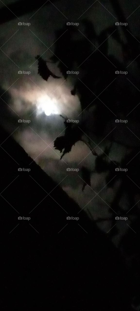 The moon is among the clouds