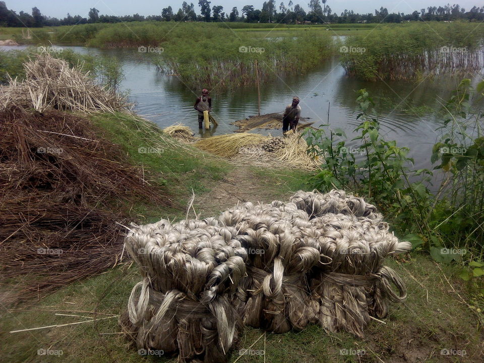 Hay bundle near river
