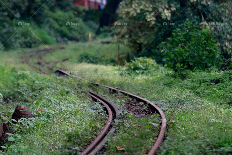 abandoned trails