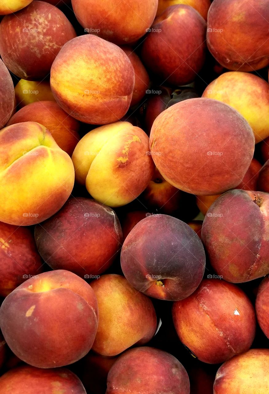 Harvest peaches