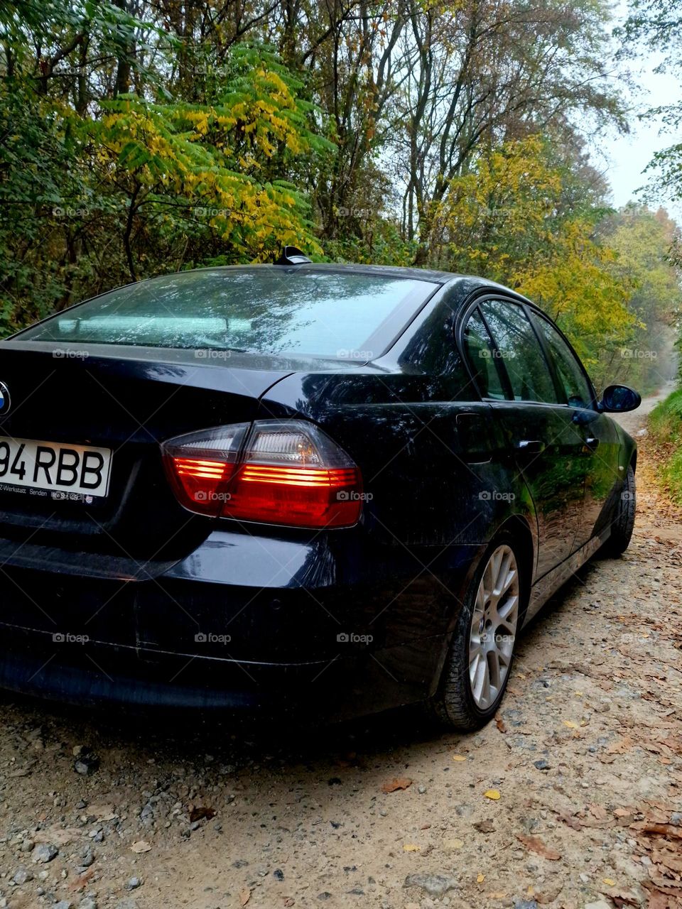 road in the forest