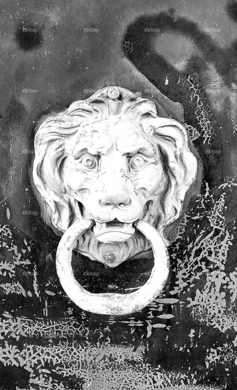 Black and White Lion Knocker