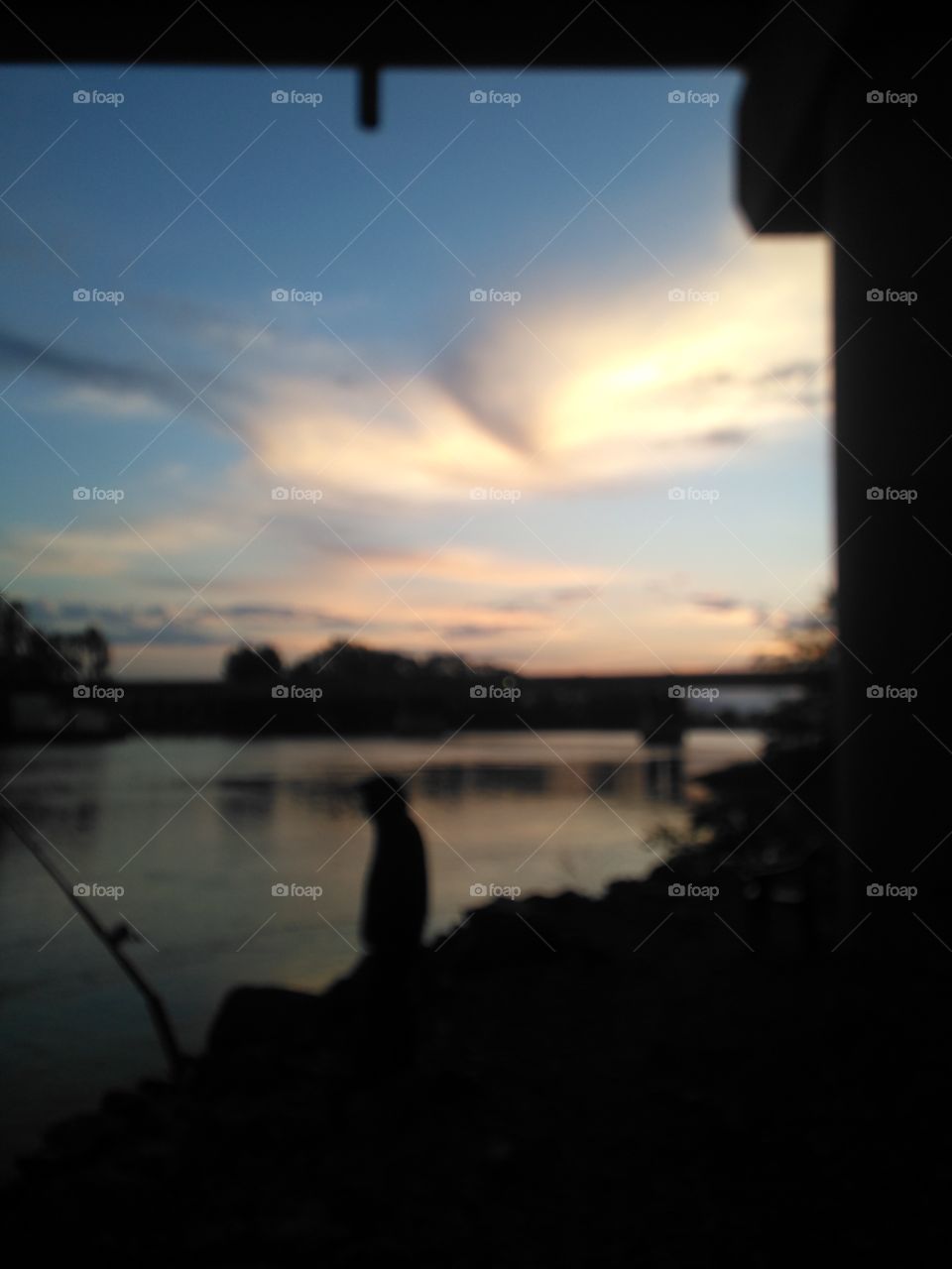 perfect calm morning