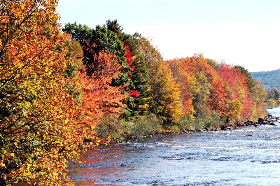 Fall in Nova Scotia