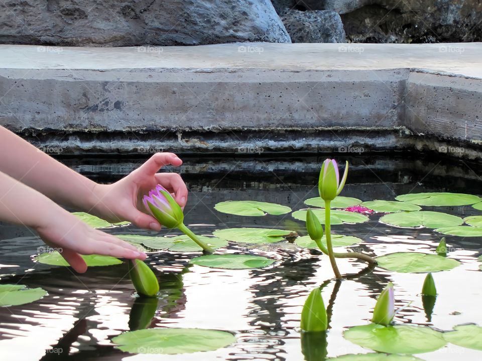 Photo taken at the pond in the park. The girl attracted by the water plant tries to collect the flower from it.