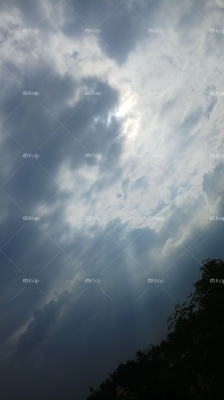 This is afternoon click sunlight is very nice