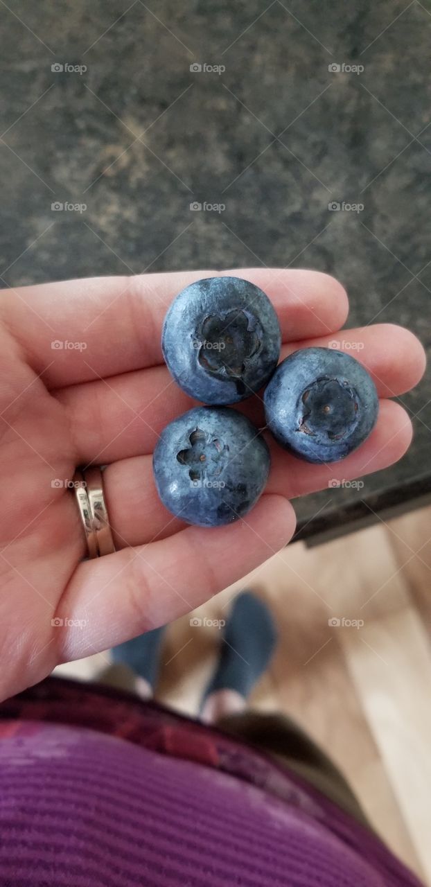 giant blueberries