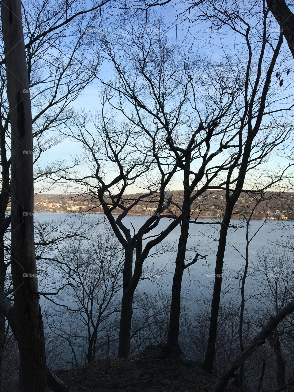 Dark wood and river