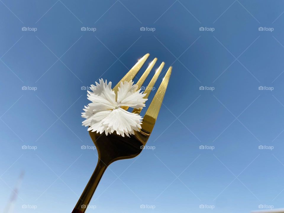 Fork