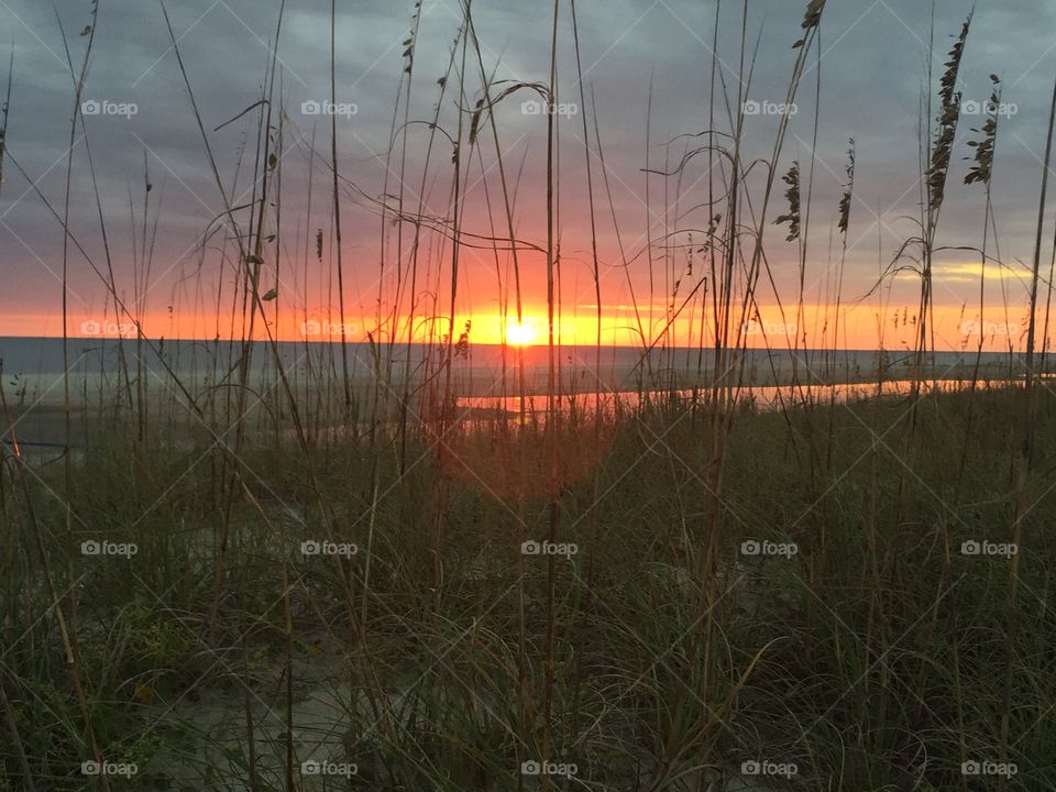 Sunset through the dunes | Bald Head Island, NC