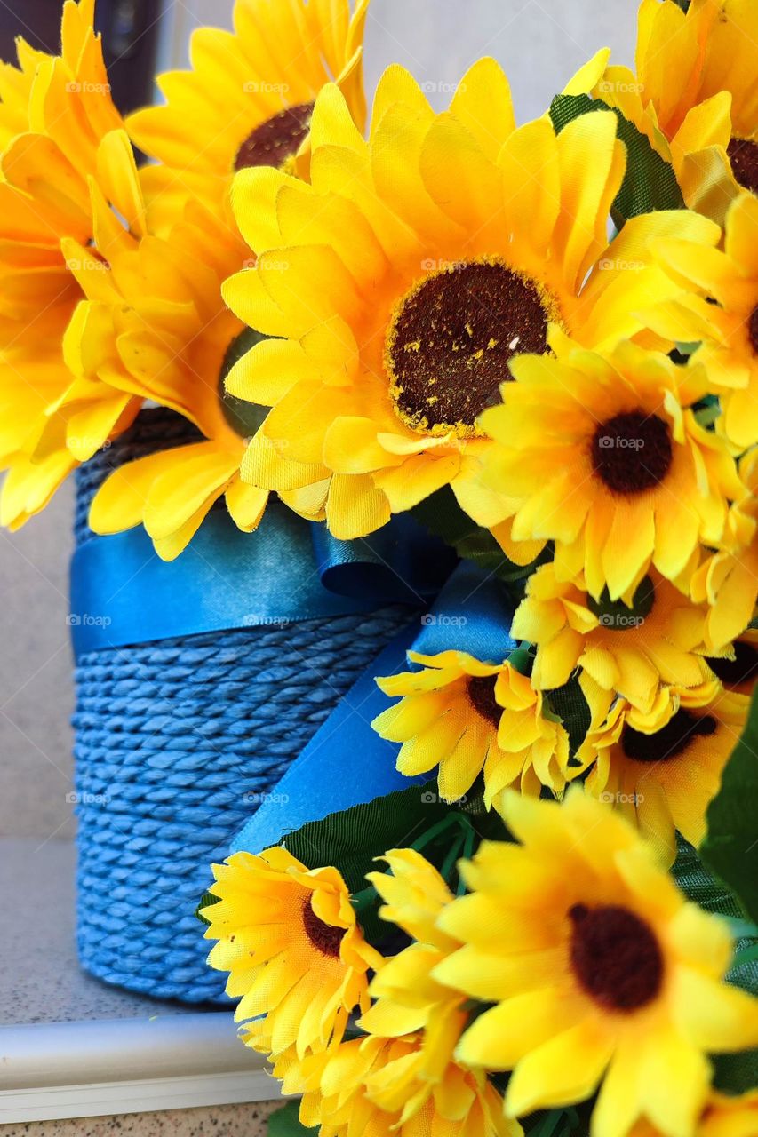 Complementary Colors, Flower Pot