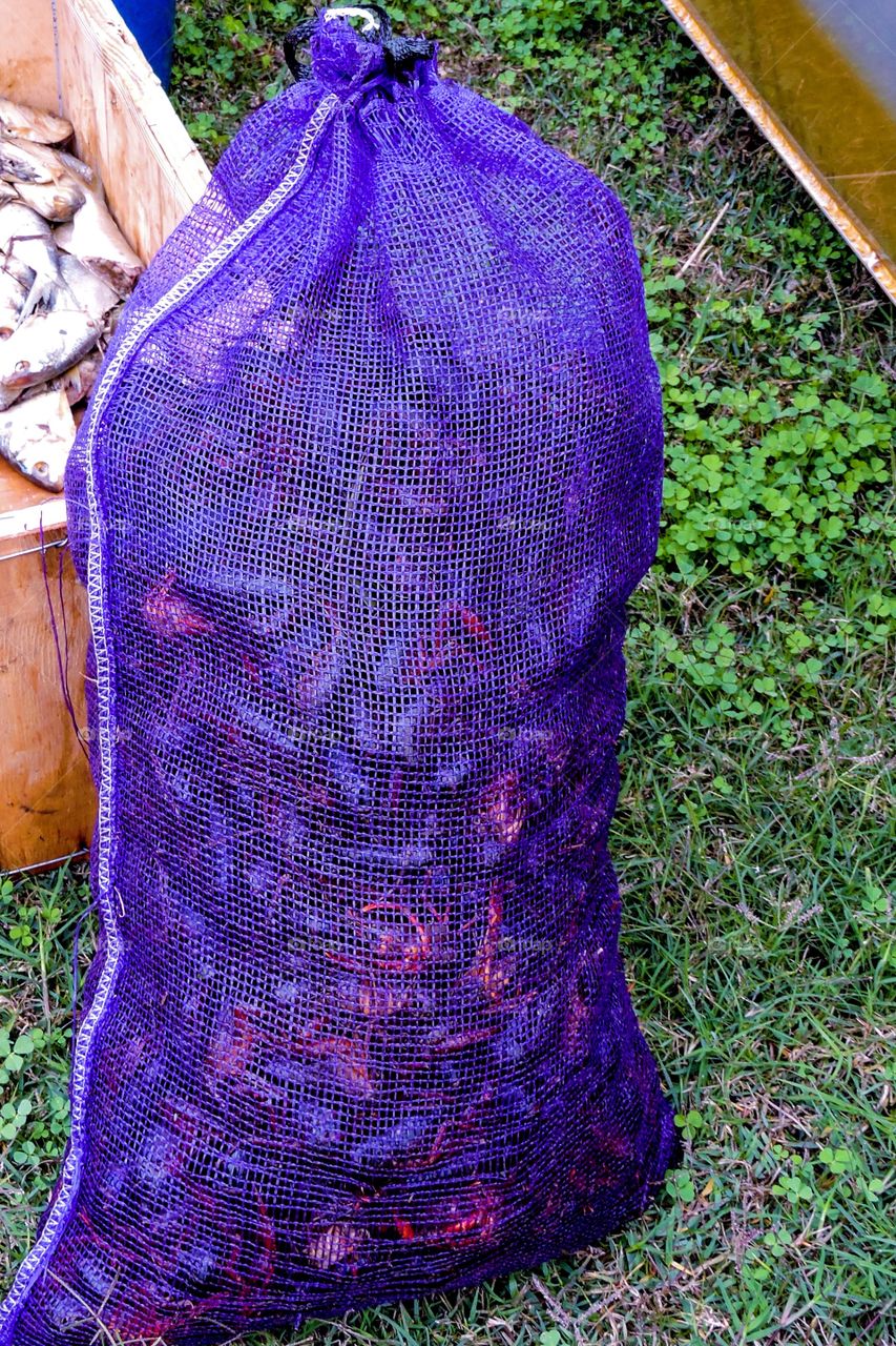 Sack of crawfish