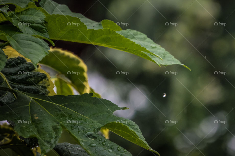 Olha só os detalhes dessa imagem 