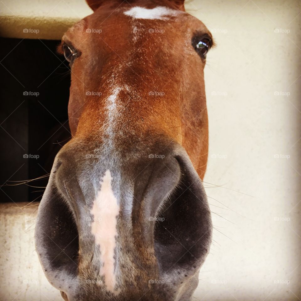 Do you smell something?