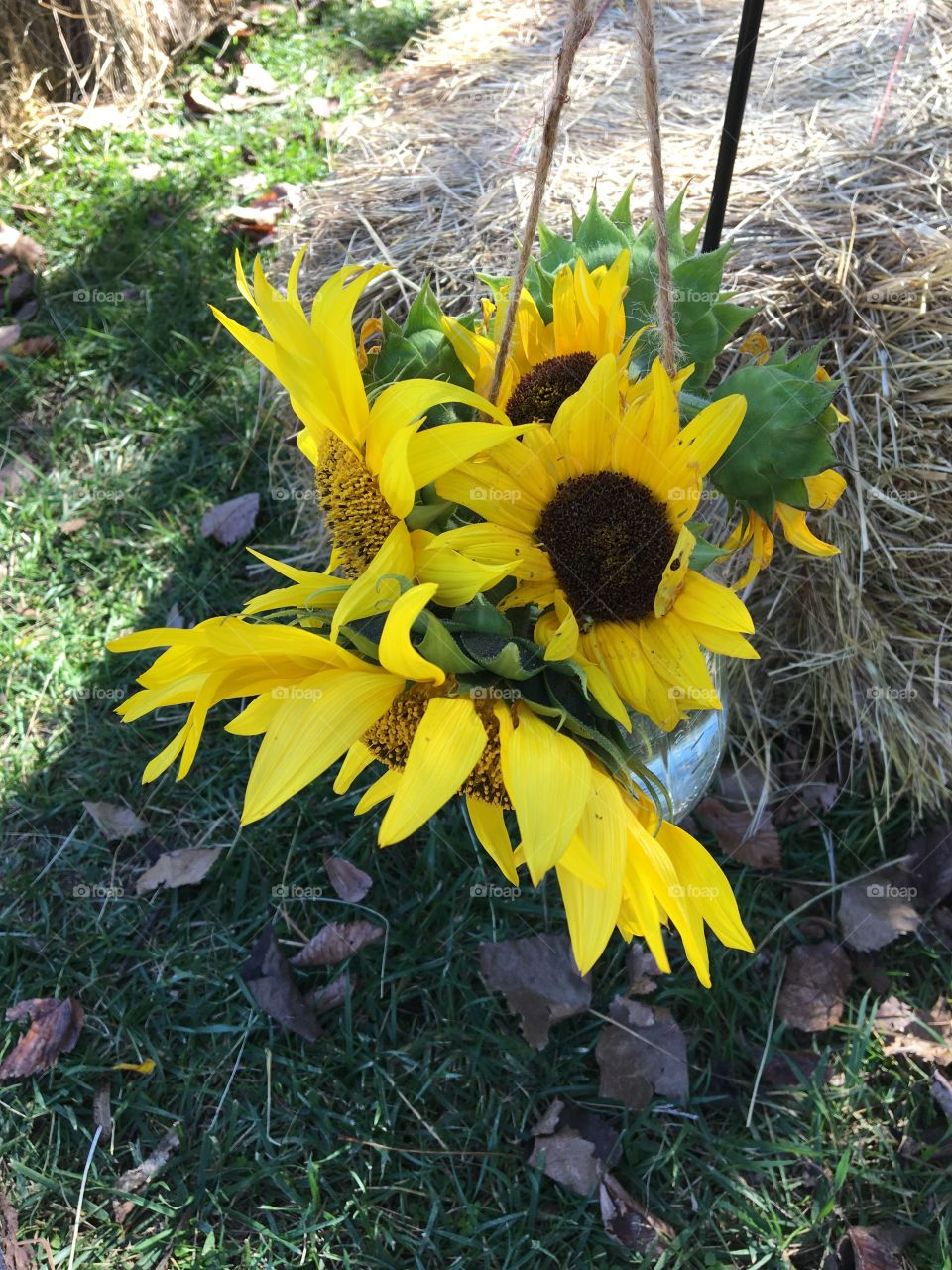 Sunflower Bouquet 