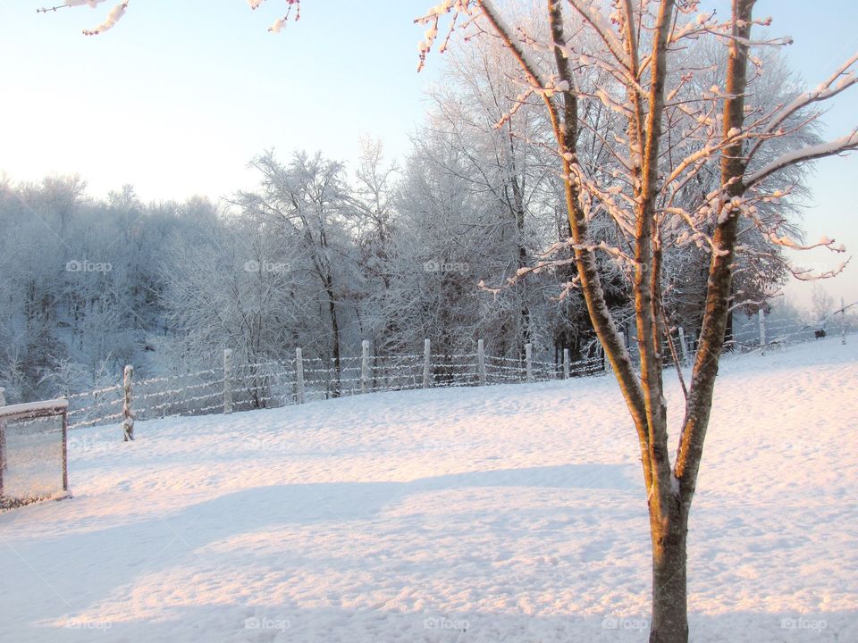 Snow on the Farm