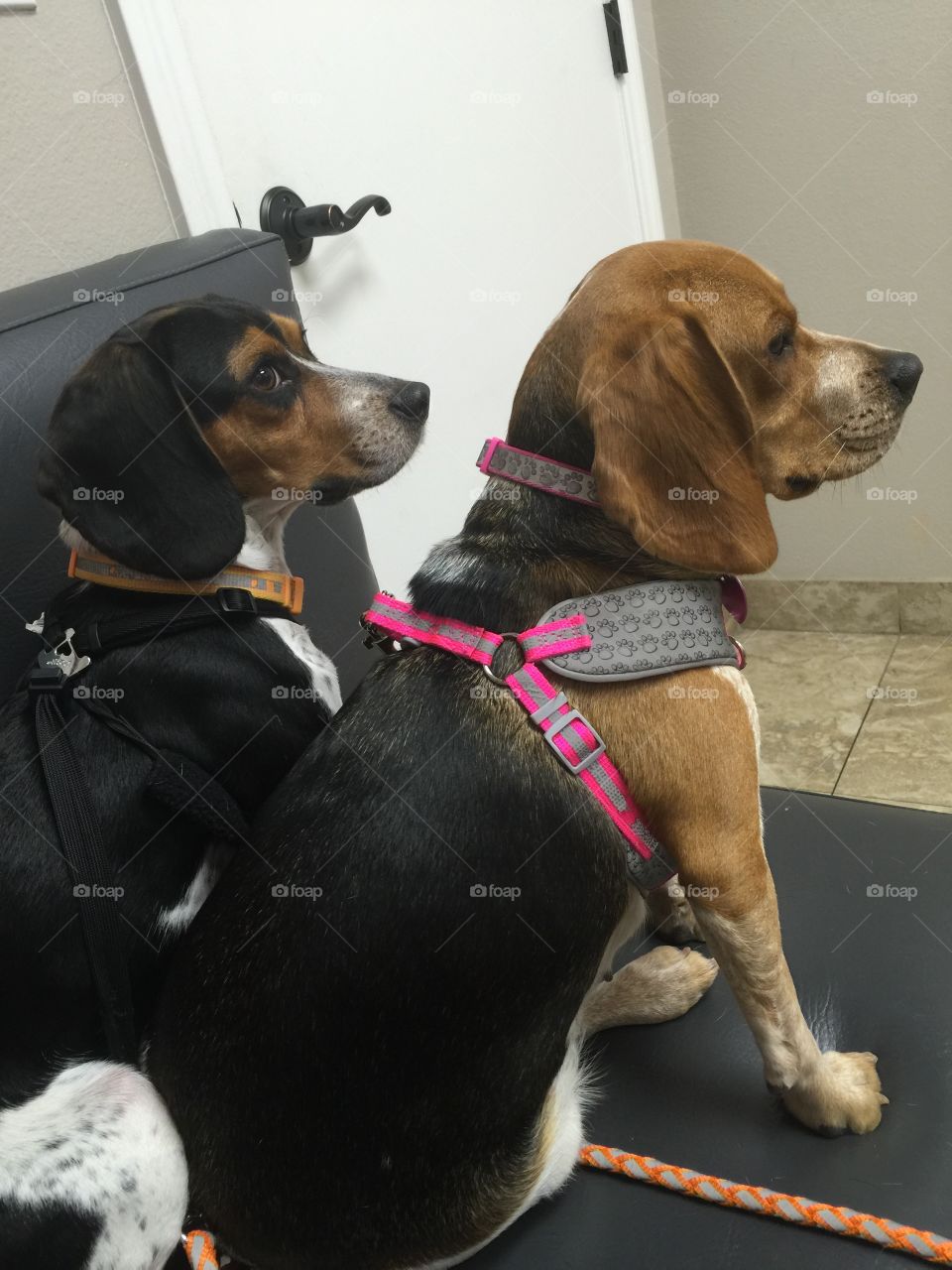 Time for your check up