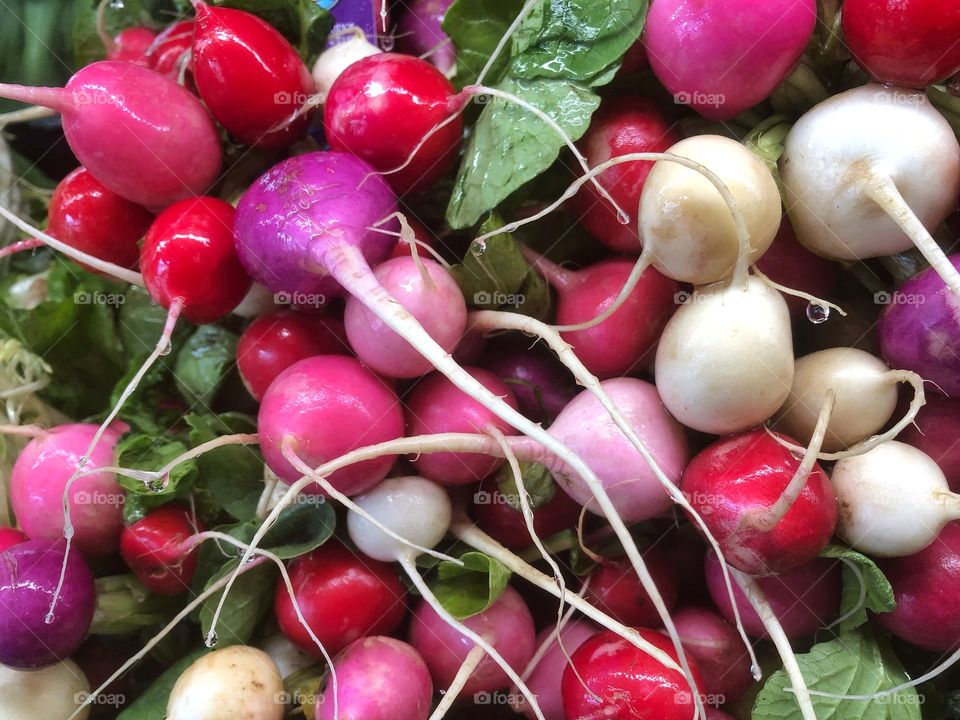 Fresh Radishes In Many Shades Of Pink