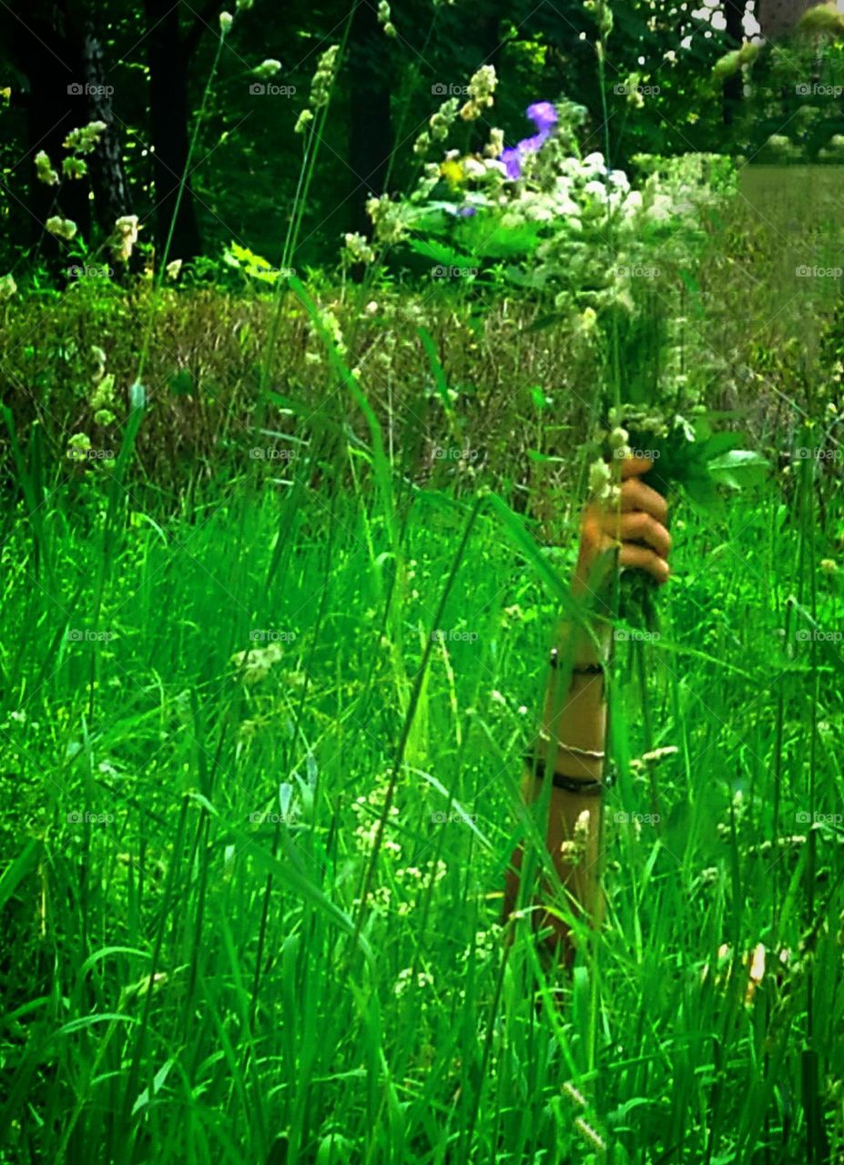 Green color.  Among the tall green grass, a hand with a green bouquet of wild flowers is visible.